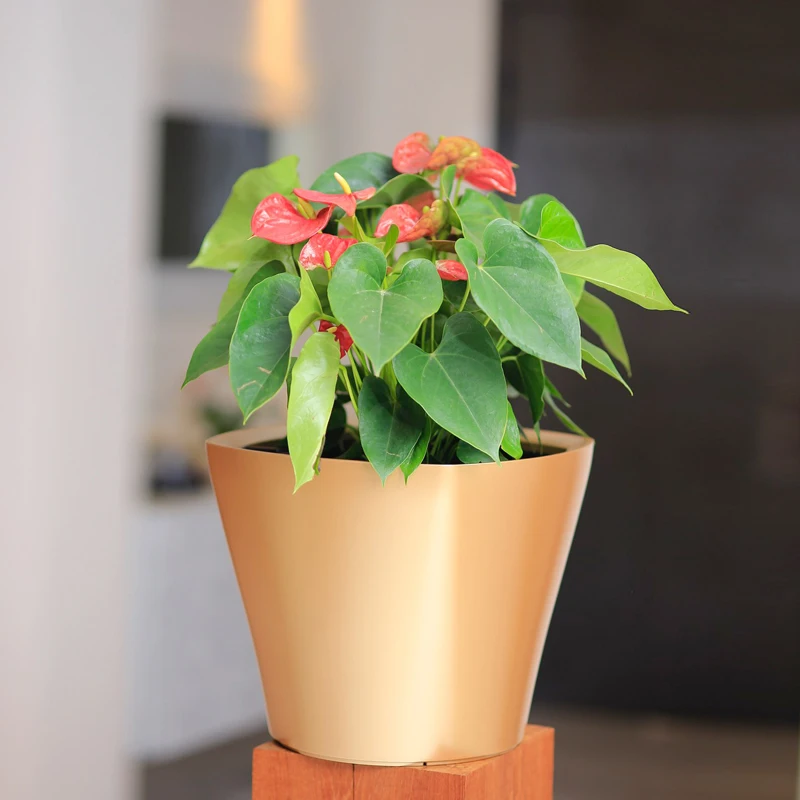 Garden hot sale flower pot sself watering planter