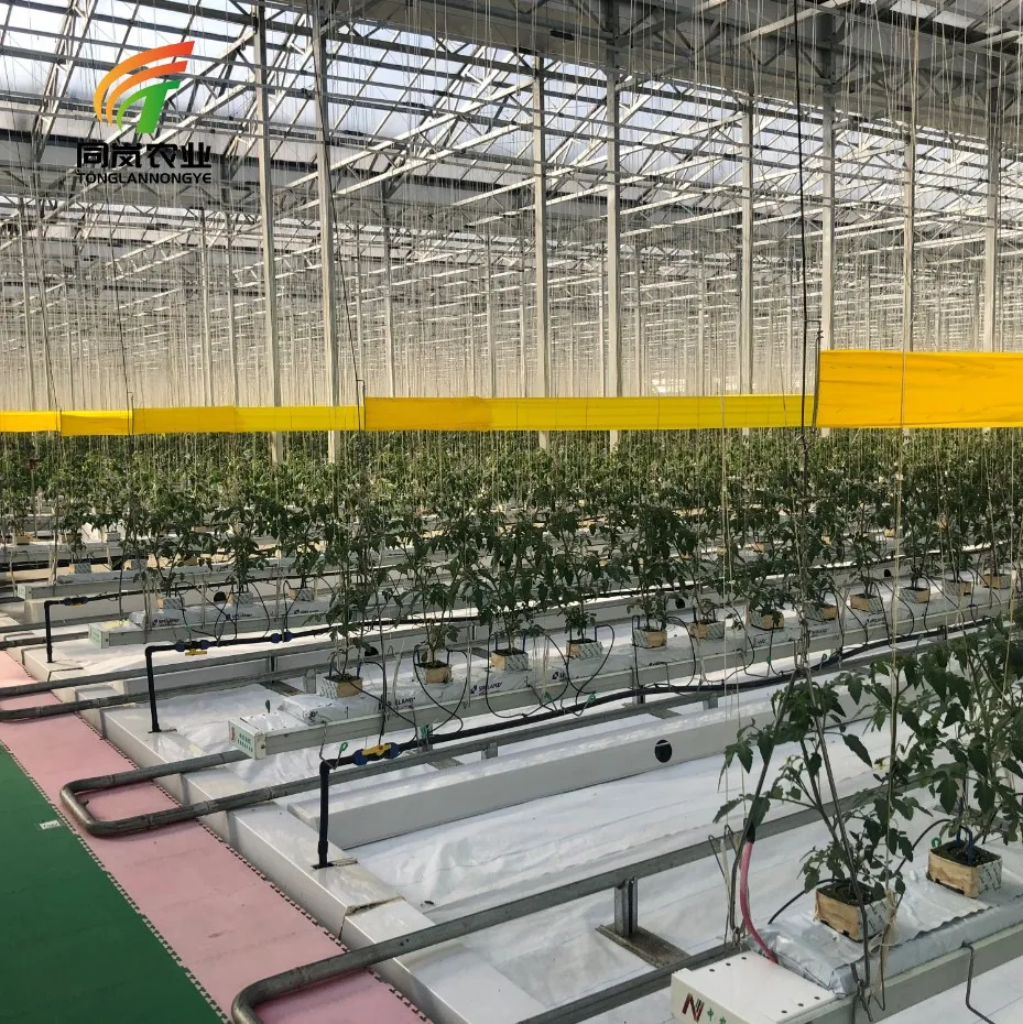 New Nursery Greenhouse With Vertical Aeroponics System For Hydroponics System Vertical Farming Vegetable Microgreen