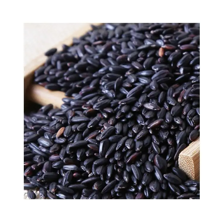 Superior Agricultural Product Glutinous Natural Organic Black Rice