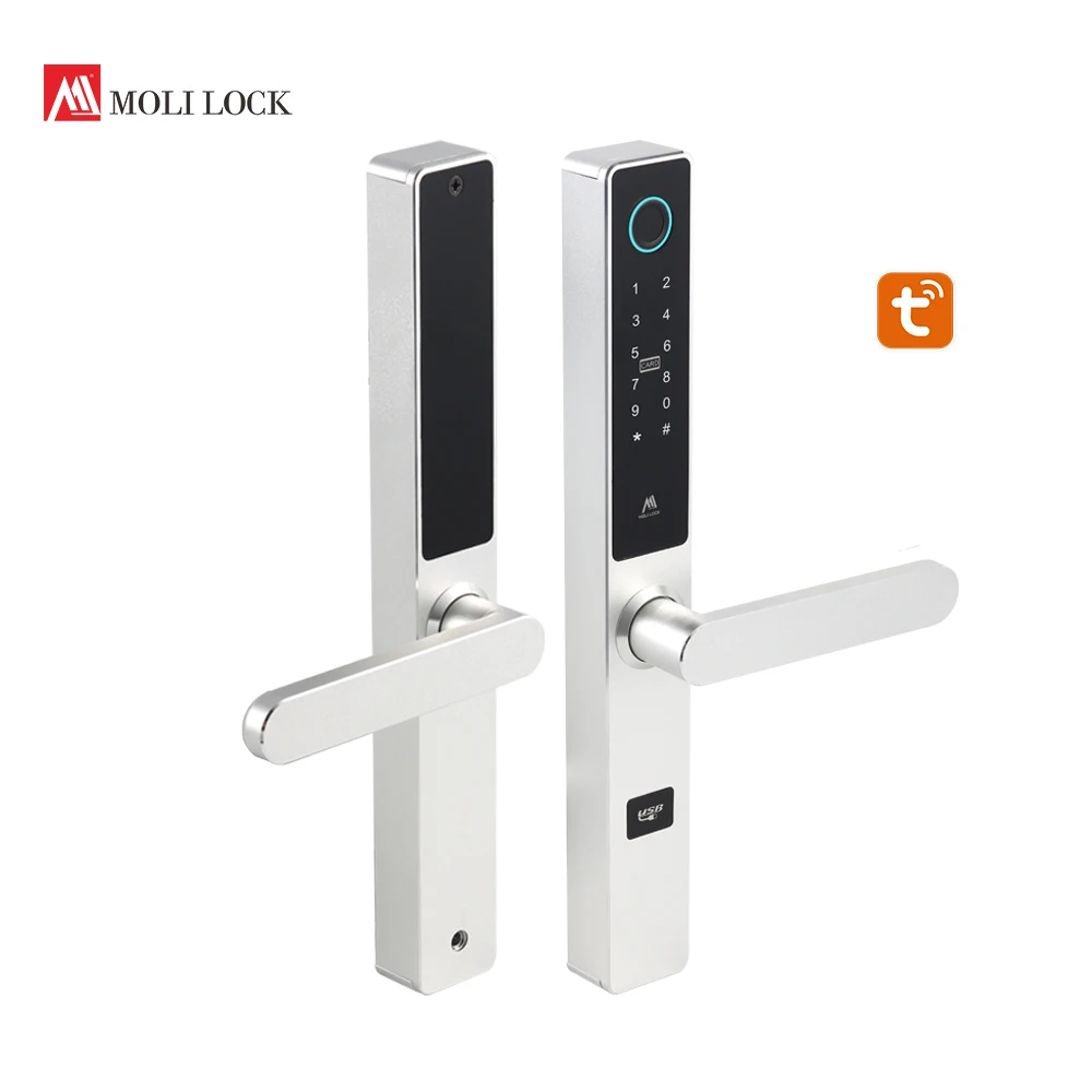 Biometric Fingerprint Intelligent Digital Smart Door Lock Digital Keypad Door Lock