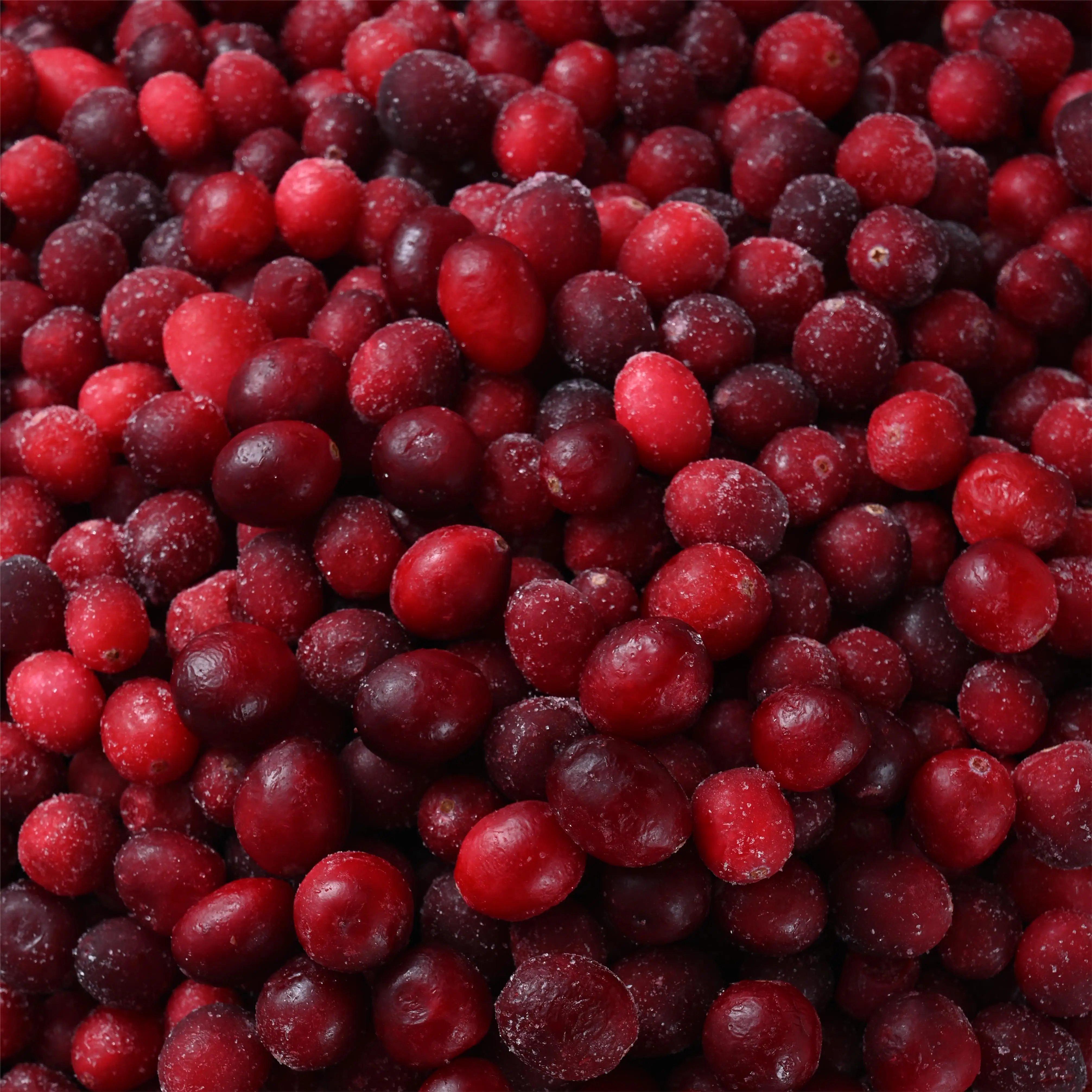 factory direct export frozen cranberry wholesale frozen cranberries
