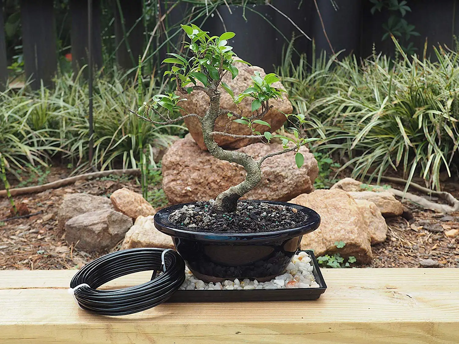 diy high quality 6 pcs bonsai tools set kit aquariums accessories plant bonsai copper wire 8 mm