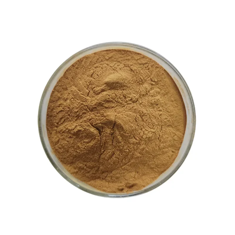High Quality Fructus Viticis Chaste Tree Berry Chasteberry Extract Agnuside Vitexin 5% Chaste Tree Extract