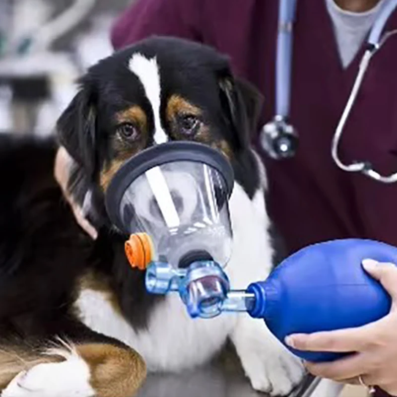 Veterinary Clinic Pet Pvc Face Oxygen Anesthesia Mask Pet Dog Cat Oxygen Breathing Mask
