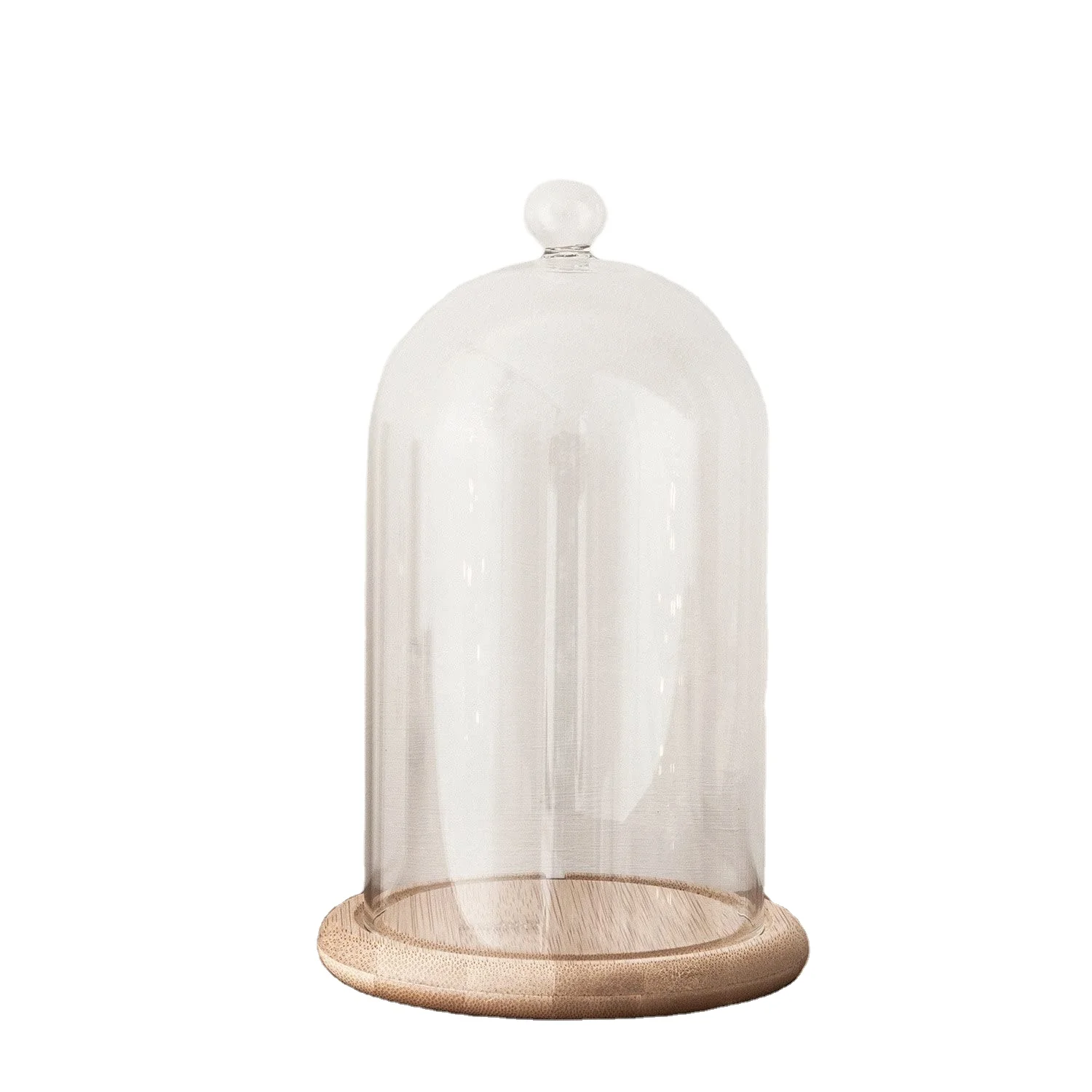 
Bell Glass Cloche Dome for Plants, Food, and Candles 