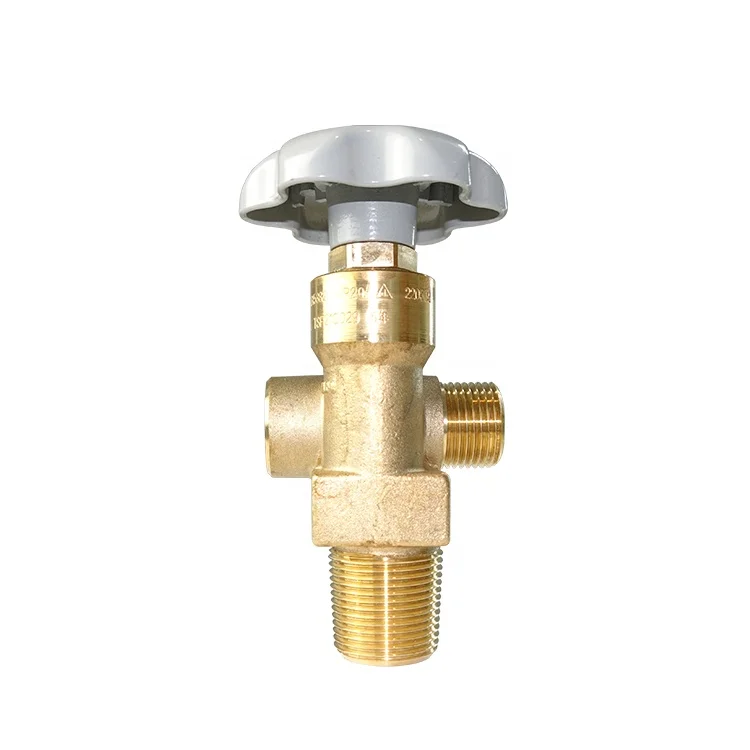 Full Test Reliable RPV-GV6 Residual Pressure Gas Nitrogen Pressure Reducing Valve Argon Gas Cylinder Valve Helium Tank Valve