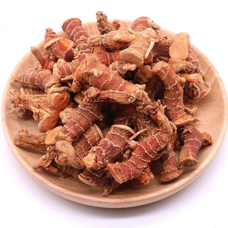 Best  Factory Price Premium Spices Dried Galangal Alpinia Galanga roots Galangal root
