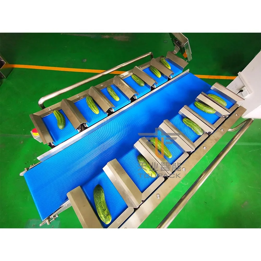 Automatic 12 Head Belt Weigher for Fruits and vegetables combination scales