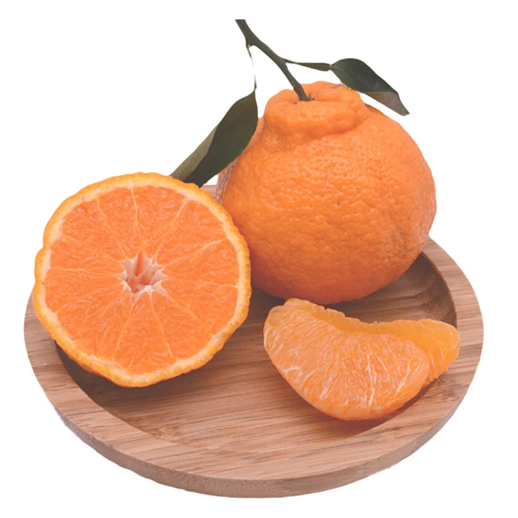 Cheapest Factory price Fresh Sweet ugly /sand/mashui Baby Mandarin