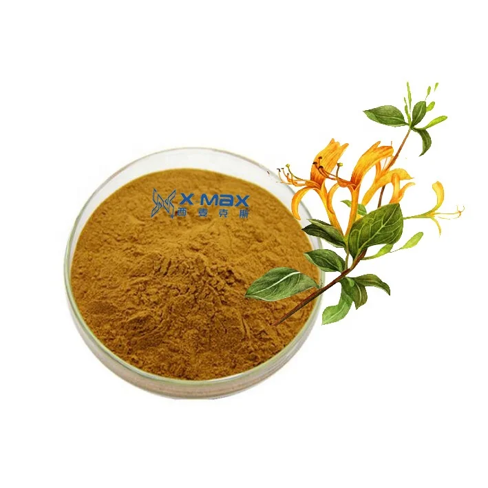 
Honeysuchle flower extract powder/Lonicera Japonica extract/Chlorogenic Acid 