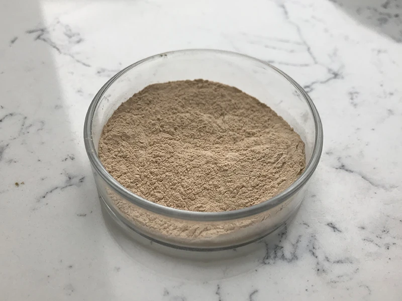  Большой запас Bacillus Coagulans Grey