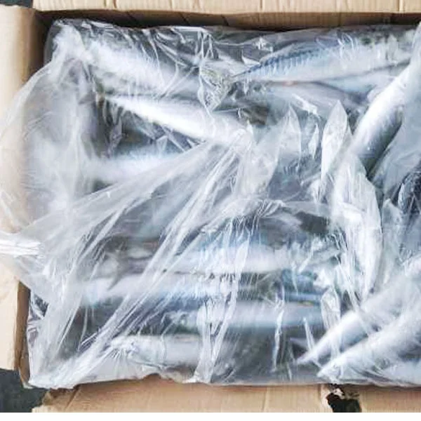 Лучшие морепродукты свежая замороженная рыба Тихоокеанская скумбрия для продажи