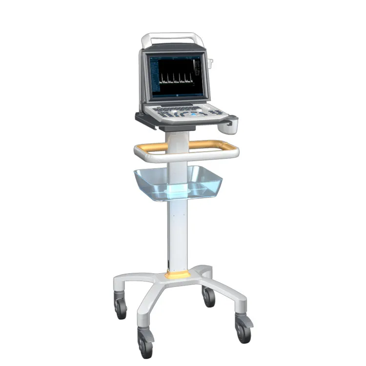Good Quality Pregnancy Scanner Ultrasound Medical Ultrasound Diagnostic  Ultrasound Machine Scanner with Detachable Probe