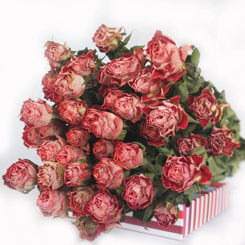 Сохраненные цветы «сделай сам», сушеные розы для подарка друзьям