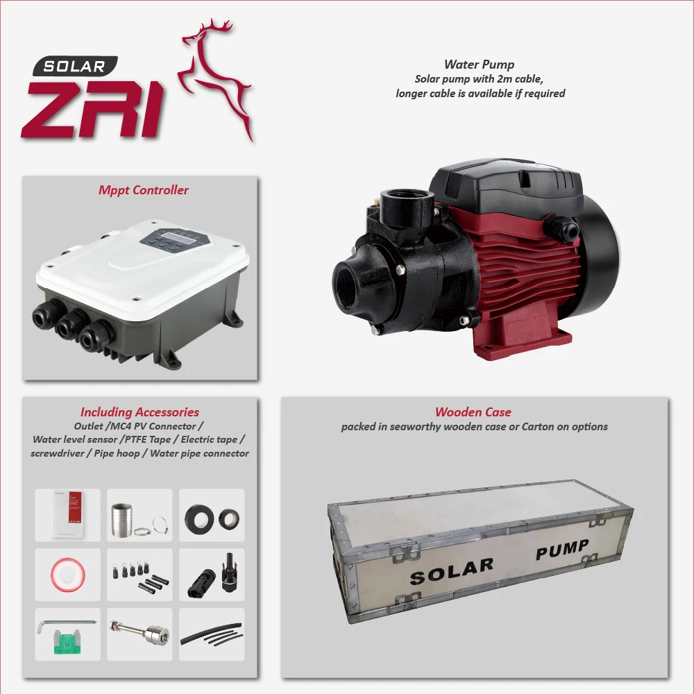 ZRI Brushless 1 Inch Solar Water Pump For Agriculture Farm Irrigation Solar Submersible Pumps Surface Solar Irrigation Pump
