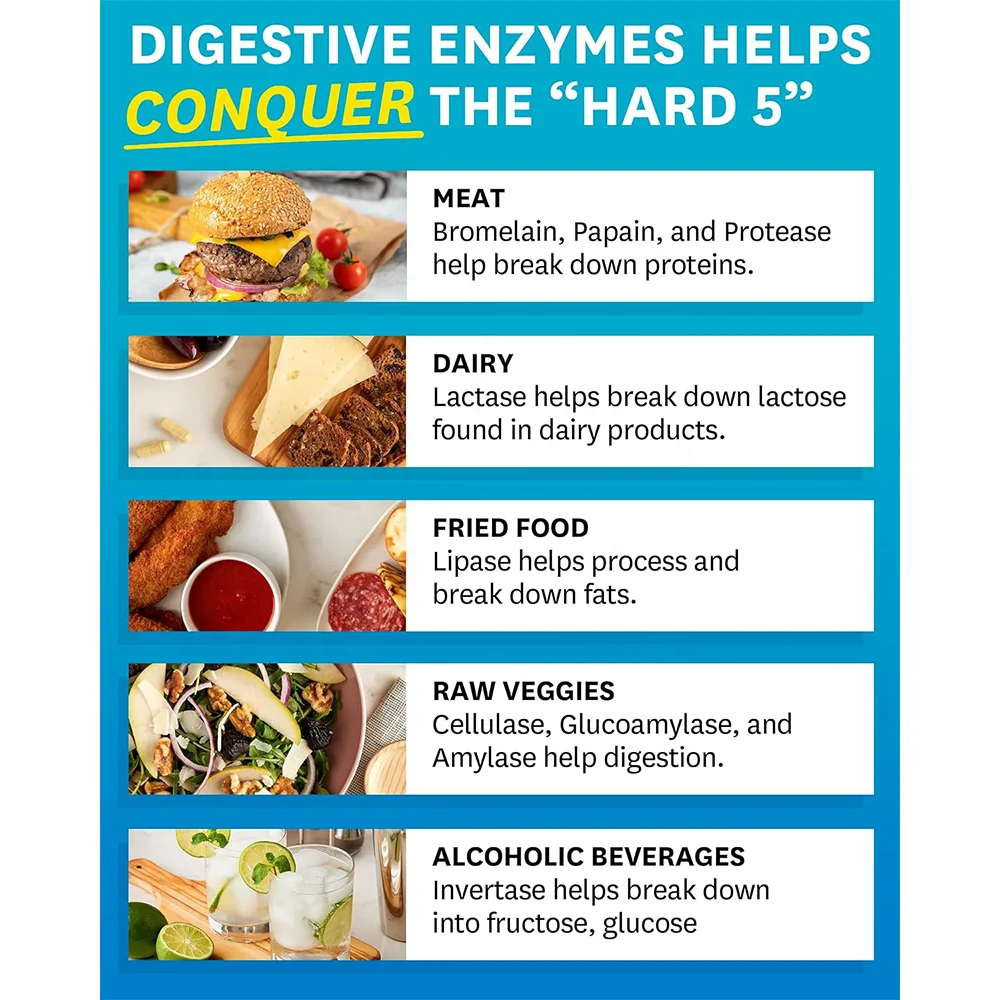 Multi Enzymes Health and Bloating Relief Daily Enzymes Gut Health And Stomach Comfort and Digestion Supplement Capsules