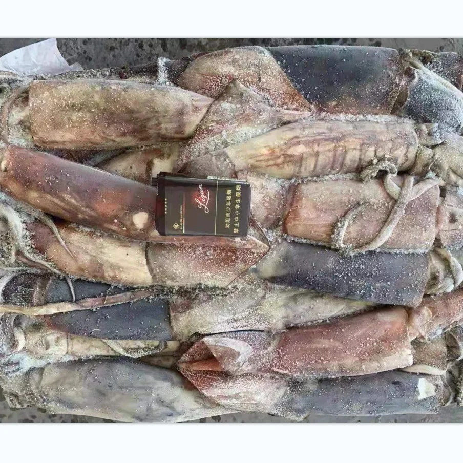 Гигантский кальмар, цельный круглый кальмар, экватор кальмара