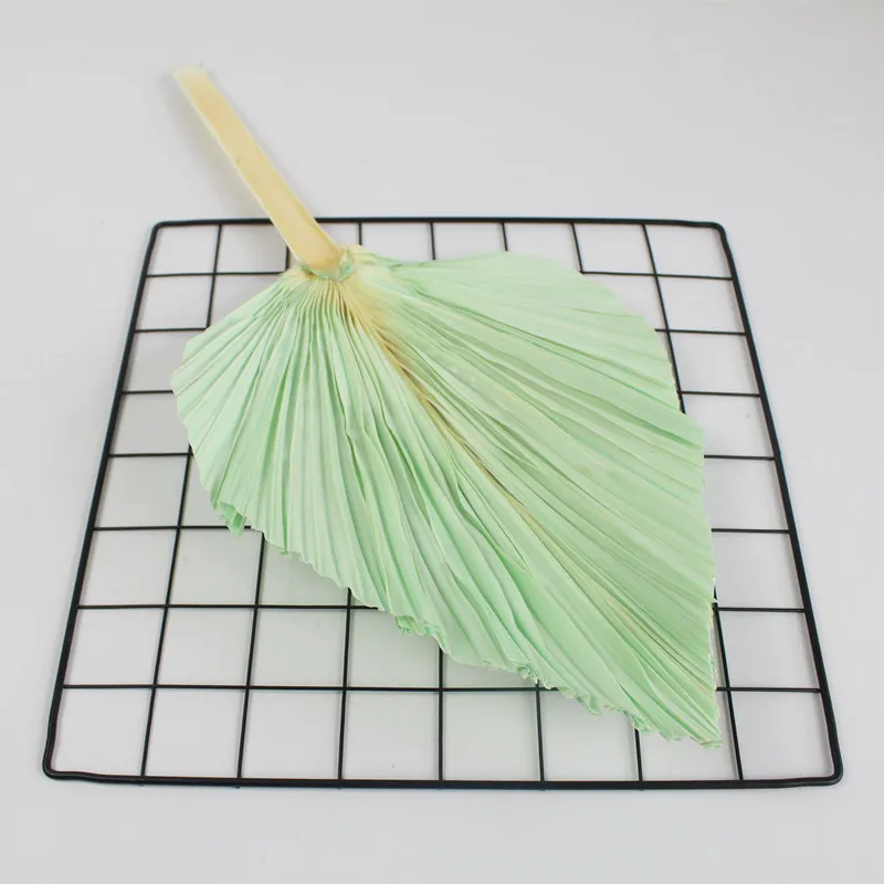 Pure colors colorful bleached palm spears for decorating parties