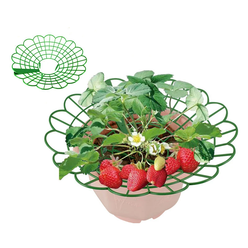 DD2336  Plant Support Stand Holder Keep Berries Clean Growing Racks with 4 Sturdy Legs Protector Frame Strawberry Supports