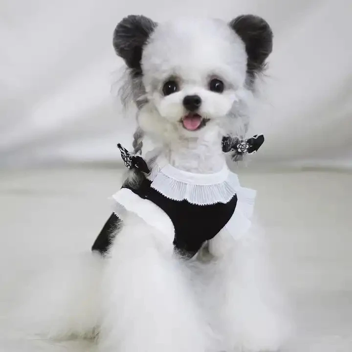 Ropa Para Mascotas Luxury Designer Wholesale Dogs Cloth Pet Apparel Clothes Summer Chaleco Perro Dog Cooling Vest