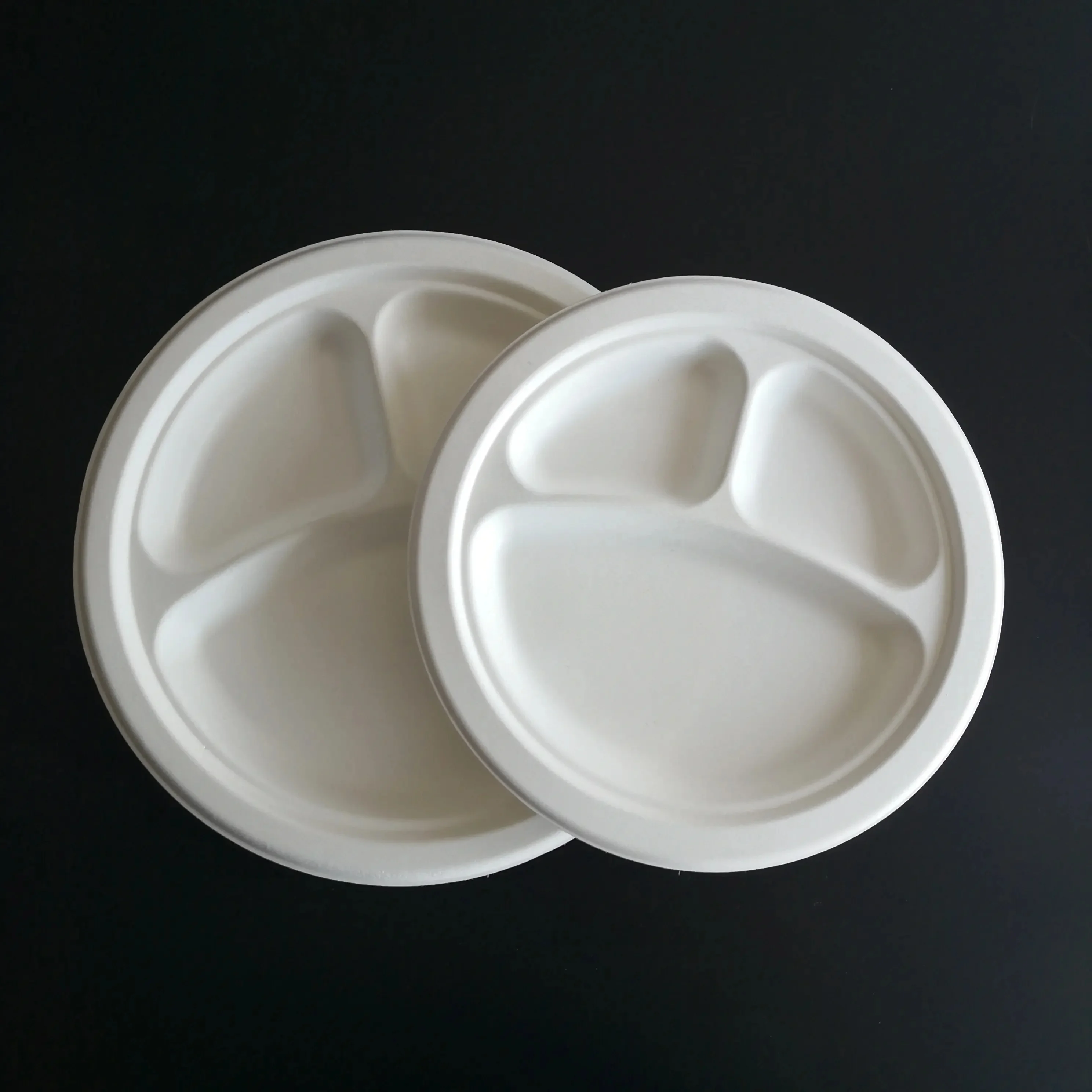 Customized Ecofriendly Biodegradable Oil-Proofing Disposable Plates 3 Compartment Party Plates