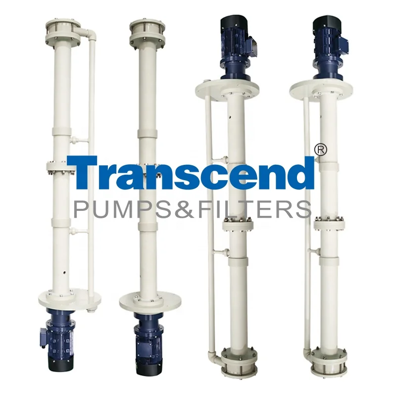 CSY 160-750LPM FRPP/PVDF Vertical Submerged Semi-Submersible Immersion Type Centrifugal Chemical Sump Pump