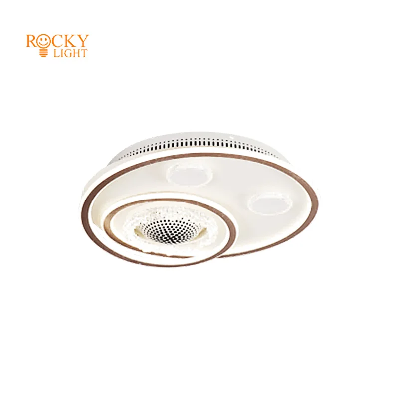 Plasma air purification fan light