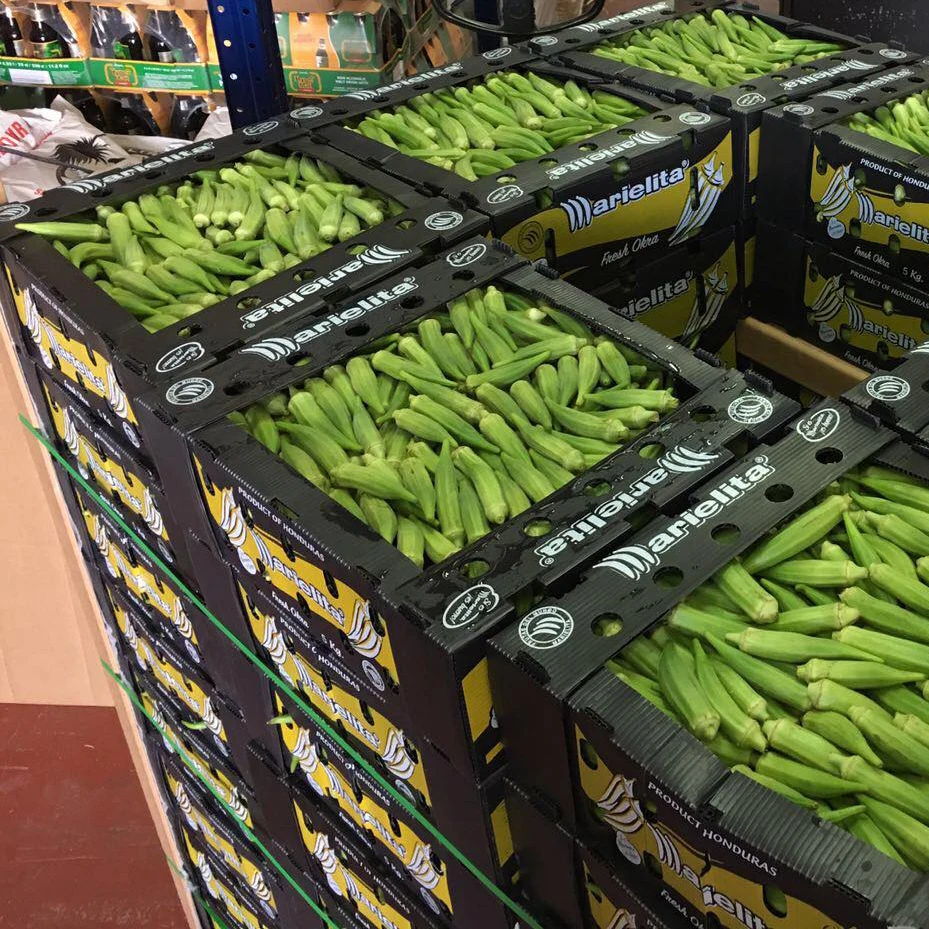 Индивидуальные высококачественные дешевые пластиковые гофрированные коробки для упаковки