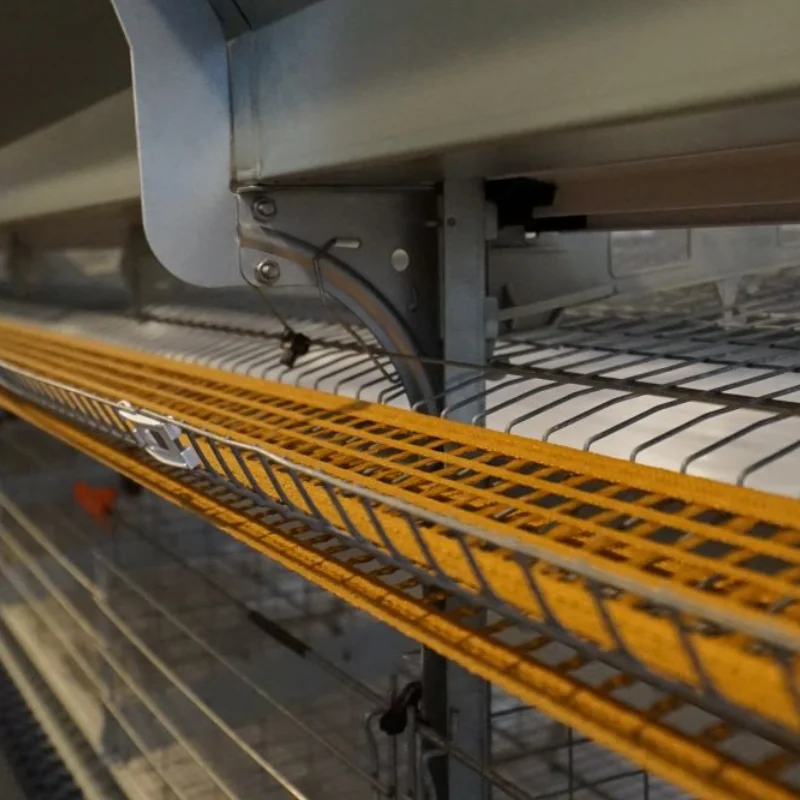 Chicken Cage Layers Poultry Battery Poultry Layer Cage Systems Automatic Egg Poultry Farming Equipment System