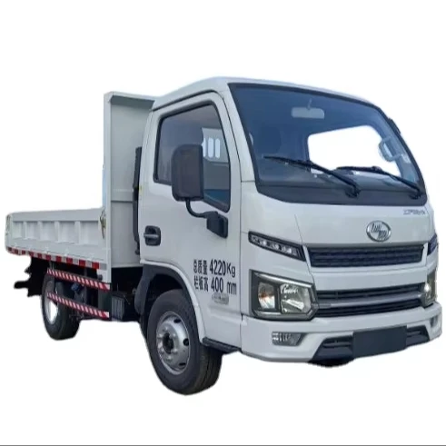 Advanced China Small Dump Truck Single Cab Diesel Version Convenient Quick Use Manual Condition New Mini Truck Segment Left