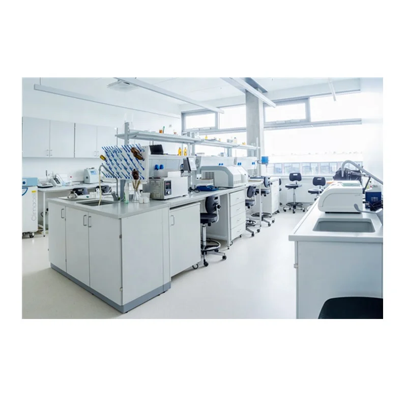 Factory Direct Customized Steel Laboratory Bench Wet C-Frame Design for School and Hospital Science Laboratories