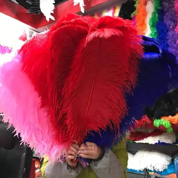 Party Decorative Cheap Color Ostrich feathers floss white ostrich birds chicken feathers ostrich chicks