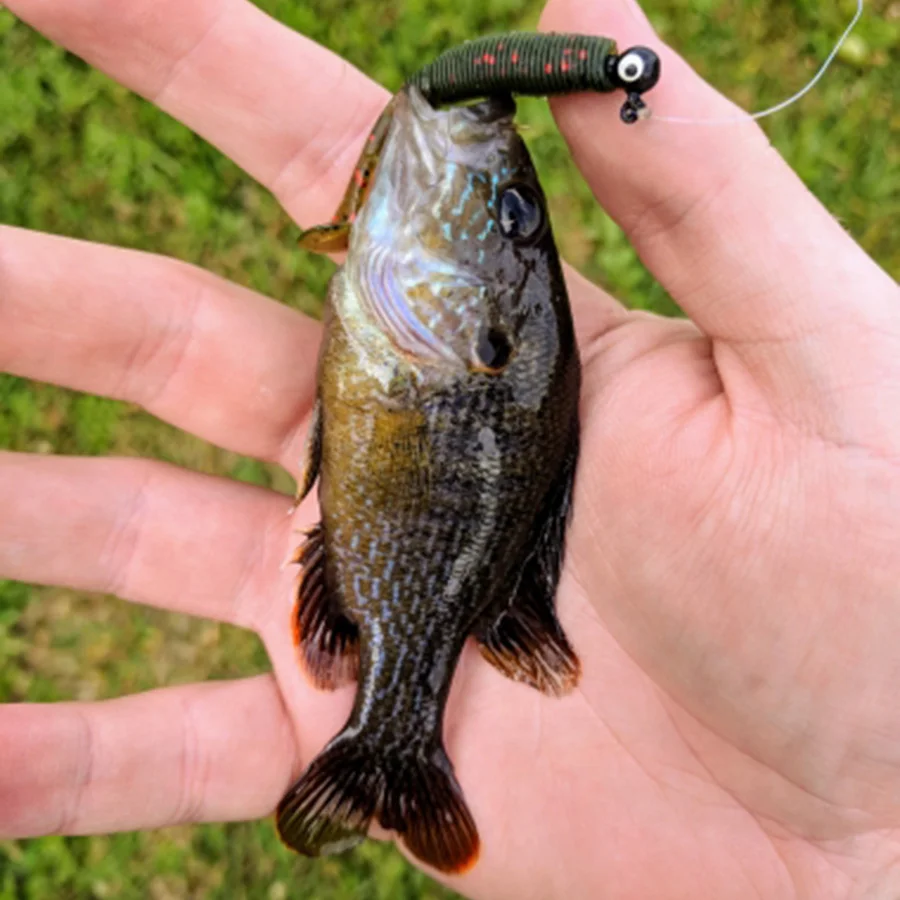 Small T Tail Soft Lure 50mm 1g 15pcs Soft Fishing Lure Soft bait Worm Grubs T Tail Wobblers