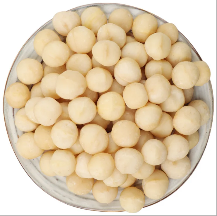 Raw organic chinese Macadamia nuts with shell and Without shell.