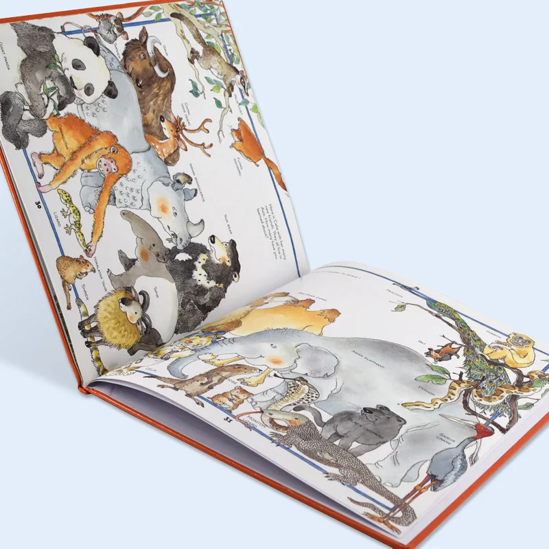 OEM baby tiger Hardcover picture book recognize animals books