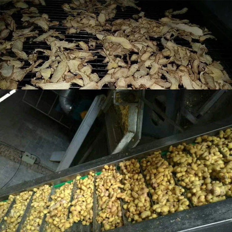 High Quality Ginger onion garlic carrots vegetables cleaning cutting slicing machine