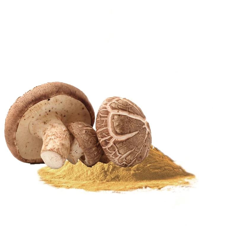 Top quality Usda & Eu Organic Shiitake Mushroom Extract Powder Polysaccharide