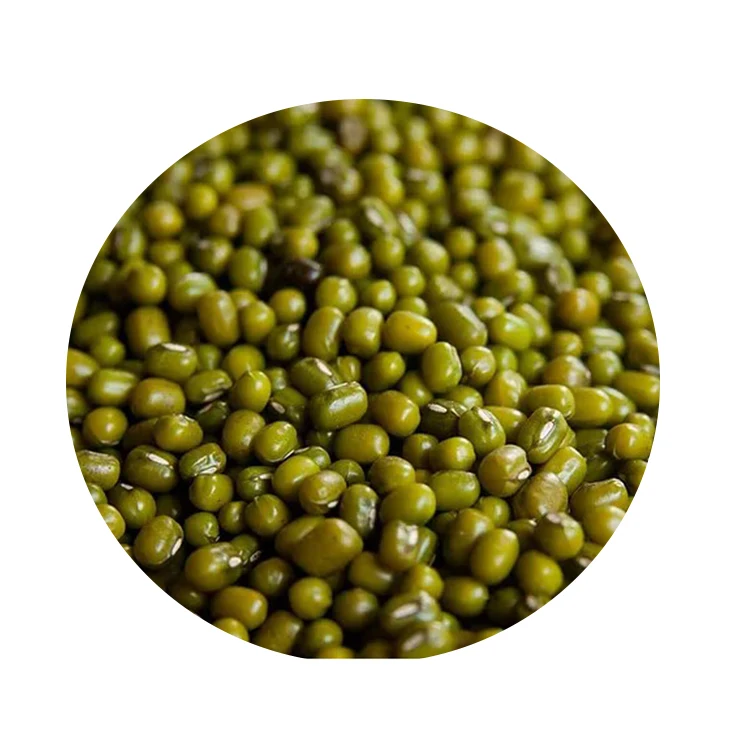 
Wholesale Premium Grade Organic Nature Green Mung Beans 