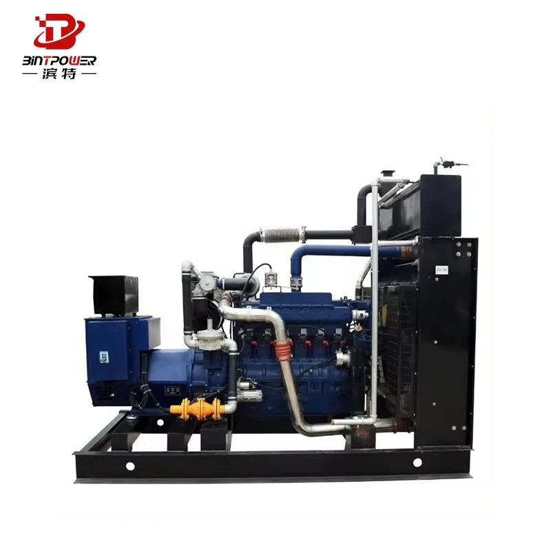 200Kw Natural Gas Generator Set Water-Cooled With High Temperature Resistance Electric Start For Lpg Biogas Turbine Generator
