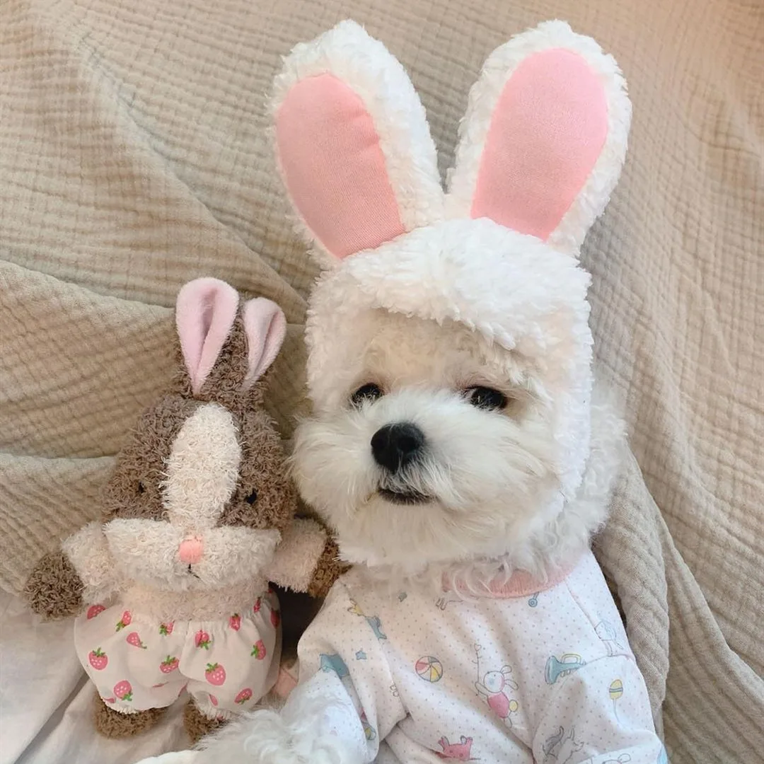 
New Design Plush Pet Play Squeaky Chew Doll Dental Chew Rabbit Shape Toy 