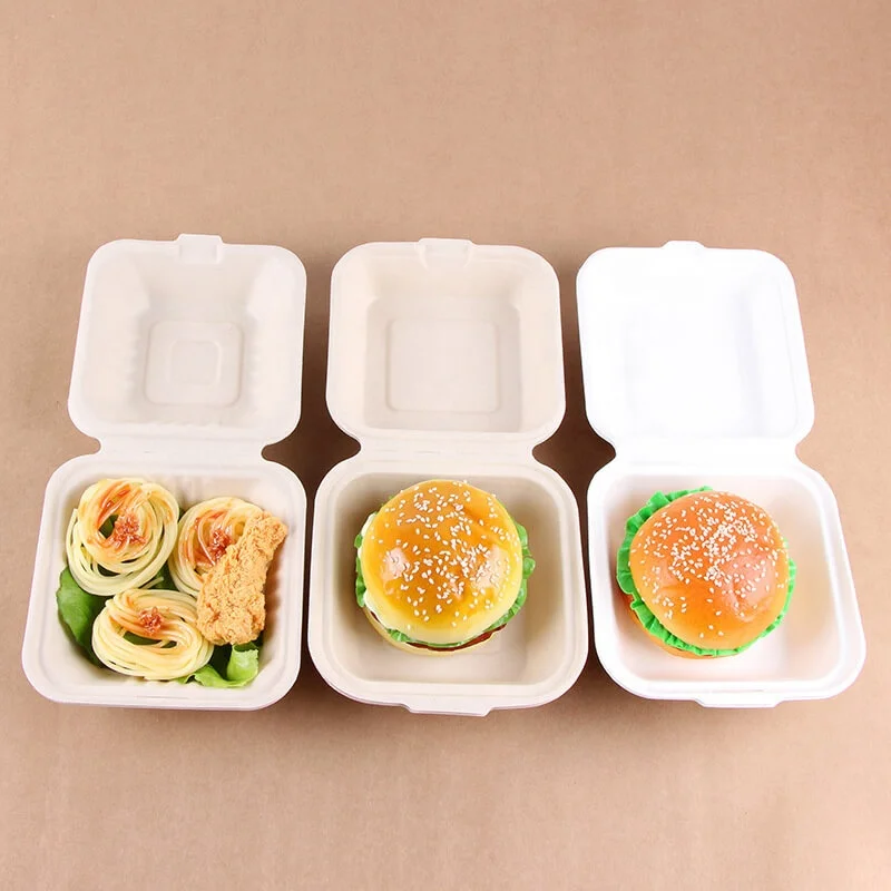 Biodegradable Tray Food Packaging Containers Lid Lunch Box Container Set