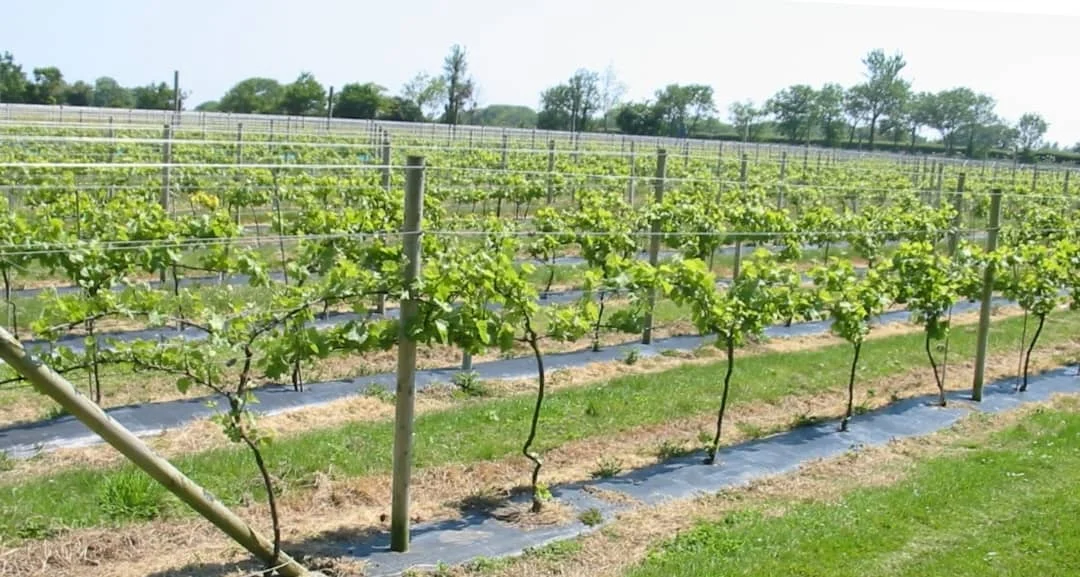 Precast concrete lintel moulds machine hot selling in south Africa , Congo, Russia