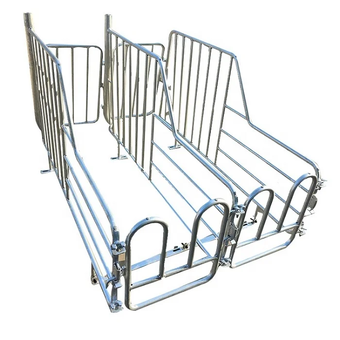 Double pig farming equipment farrowing crate / Piggery Gestation pens