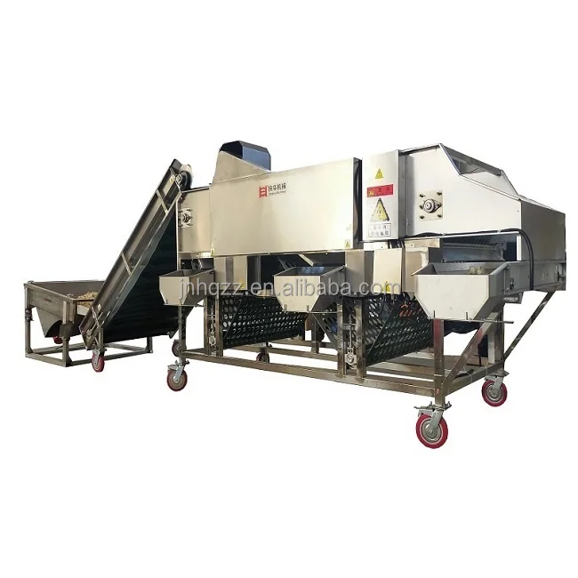 electric size garlic  bulb classifying machine for home