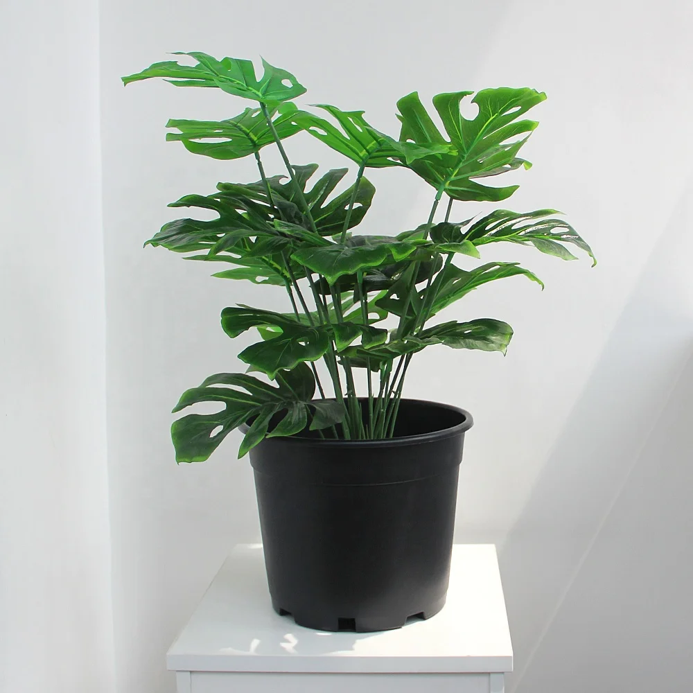 Free sample plant pot 5 gallon black plastic nursery pots