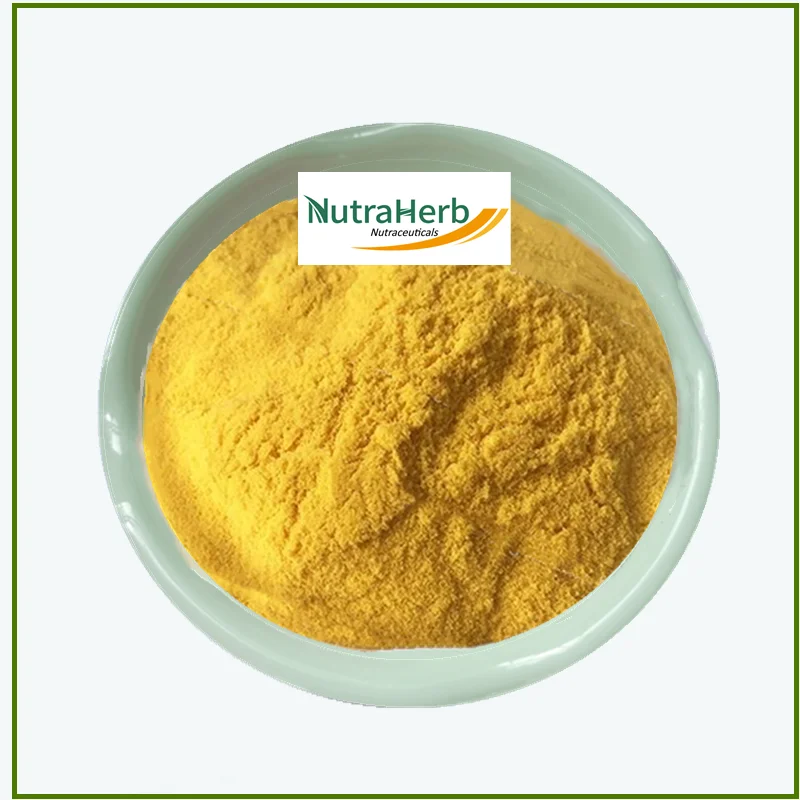 Spray Dried Organic Instant Concentrate Mango Fruit Juice Powder Mango Powder