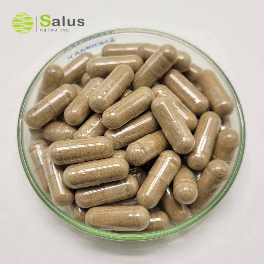 Pygeum Africanum Extract Capsules Pygeum Supplement 500mg 61 Capsules OEM Private Label For Male Prostate Health, Bladder