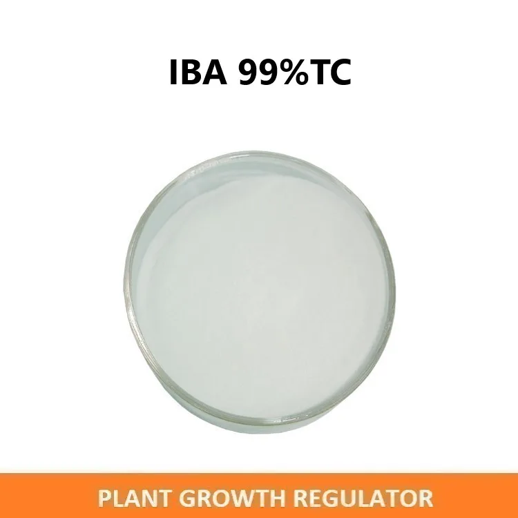 Активатор роста растений iba 6ba 99% TC порошок Auxin sitokinin cytokinin и naa производитель