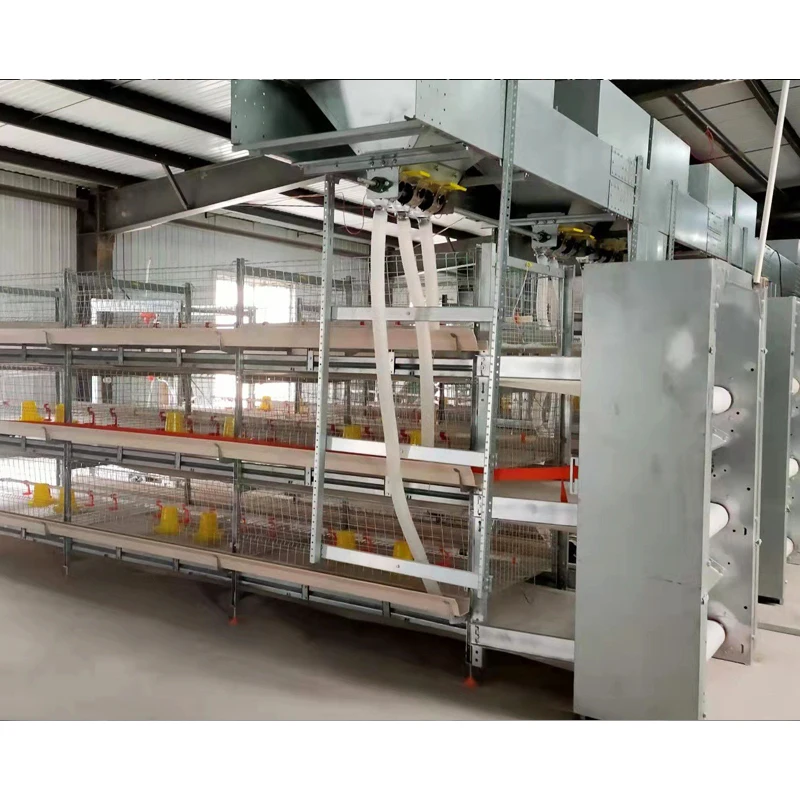 Ручное оборудование для птицеводства типа H продукция автоматическая клетка бройлеров куриная