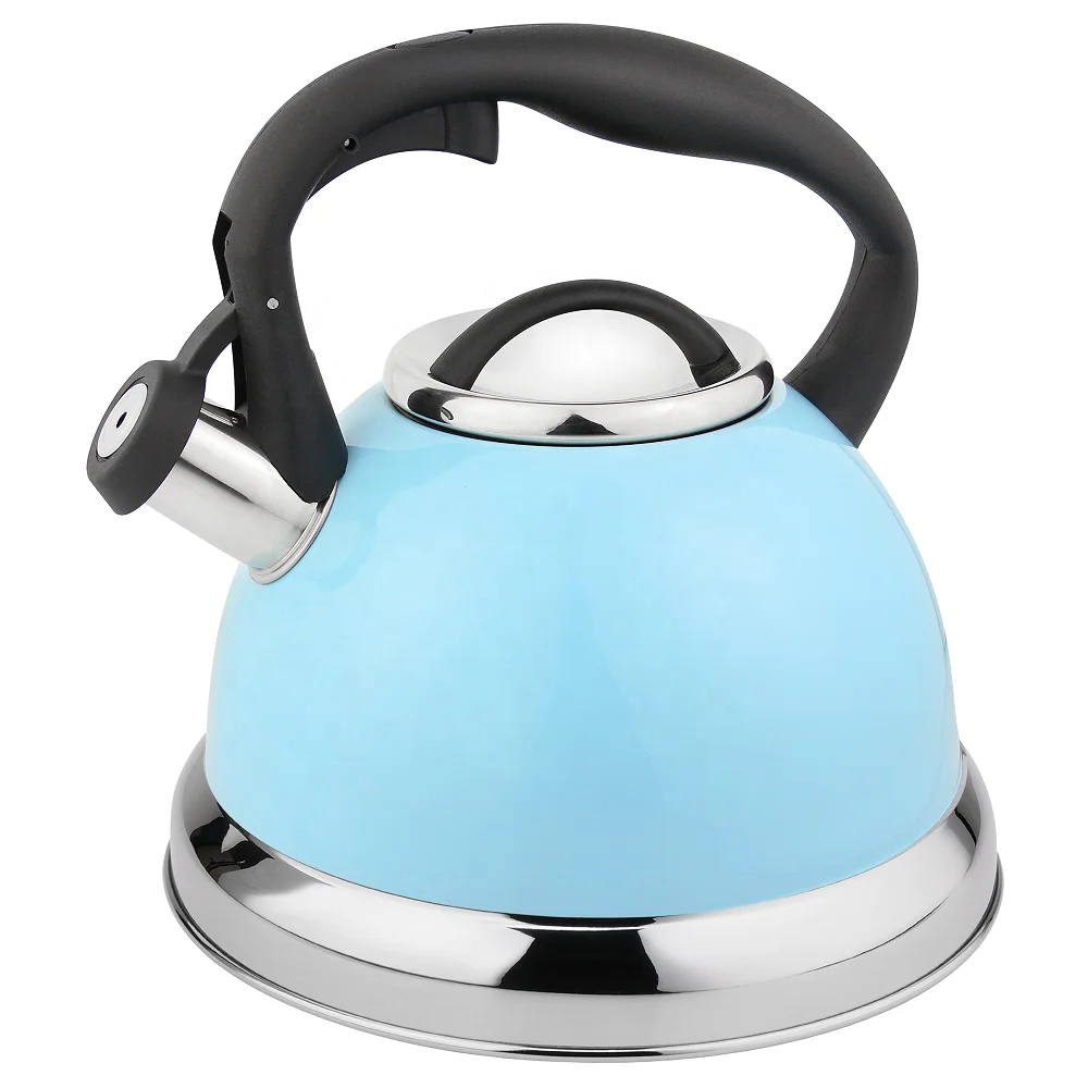 China Factory Stainless Steel kettle best price of different type whistling tea kettle
